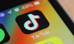 海外tiktok短视频,全球视角下的TikTok短视频潮流解析