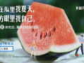 吃瓜爆料宋轶微博,揭秘娱乐圈幕后真相