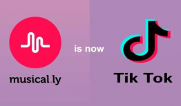 海外tiktok短视频,全球视角下的TikTok短视频潮流解析