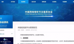短视频标准,内容精炼的艺术与传播新趋势